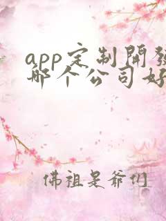 app定制开发哪个公司好 app定制开发哪个公司好