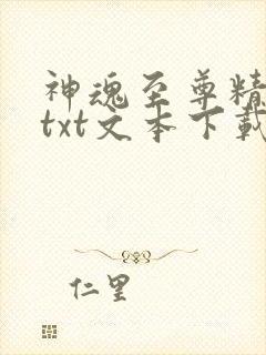神魂至尊精校版txt文本下载