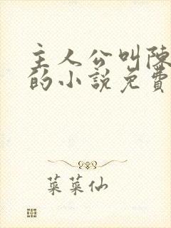 主人公叫陈天极的小说免费阅读