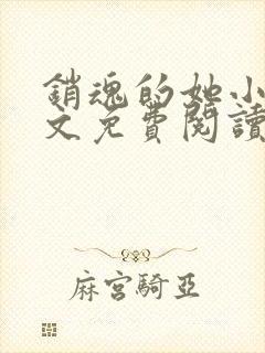 销魂的她小说全文免费阅读