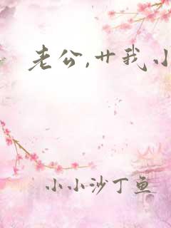 老公,艹我小说