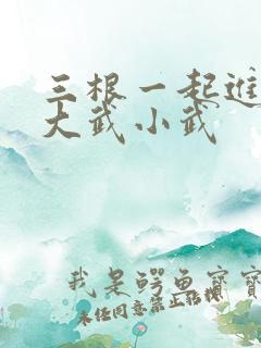三根一起进黄蓉大武小武