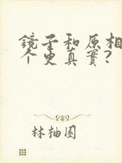 镜子和原相机哪个更真实?