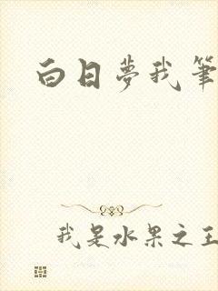 白日梦我笔趣