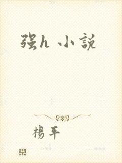强h 小说