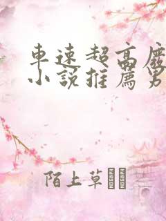 车速超高废文的小说推荐男女主