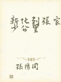 新化到张家界多少公里