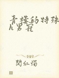 青楼的特殊调教h男宠