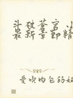 斗破苍穹 小说最新章节精校版