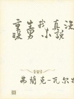 重生我真没想当暖男 小说