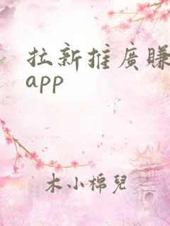 拉新推广赚钱的app