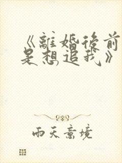《离婚后前夫总是想追我》