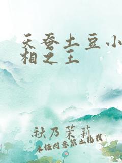 天蚕土豆小说万相之王 天蚕土豆小说万相之王