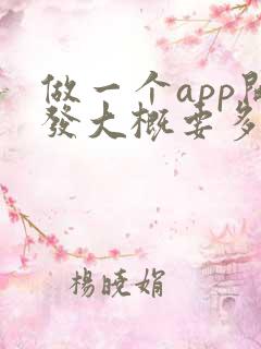 做一个app开发大概要多少钱