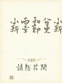 小雨和公小说最新章节更新时间