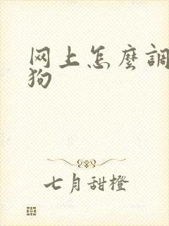 网上怎么调教小狗