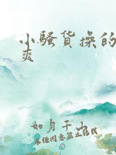 小骚货操的爽不爽