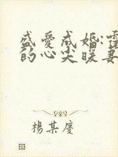 盛爱成婚:霍少的心尖暖妻小说