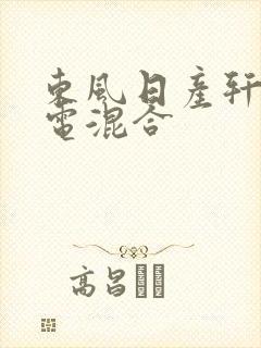 东风日产轩逸油电混合
