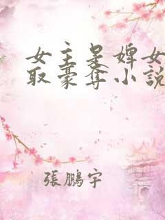 女主是婢女被强取豪夺小说