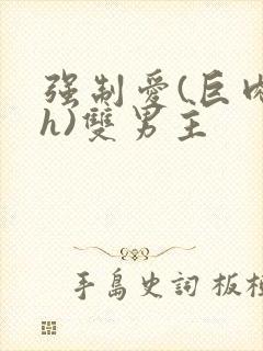 强制爱(巨肉高h)双男主