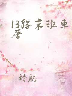13路末班车老唐