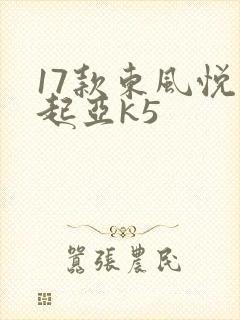 17款东风悦达起亚k5