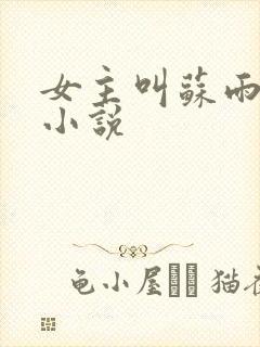 女主叫苏雨晴的小说