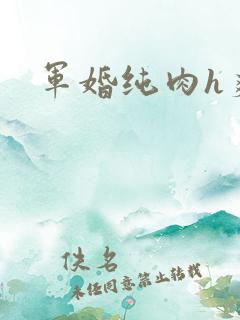 军婚纯肉h爽文