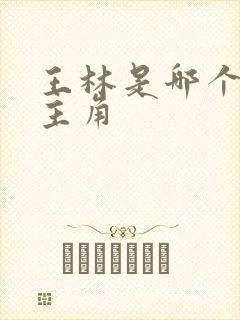 王林是哪个小说主角