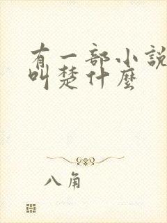 有一部小说主角叫楚什么