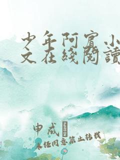 少年阿宾小说全文在线阅读