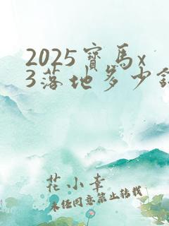 2025宝马x3落地多少钱 2025宝马x3落地多少钱