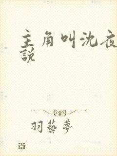 主角叫沈夜的小说