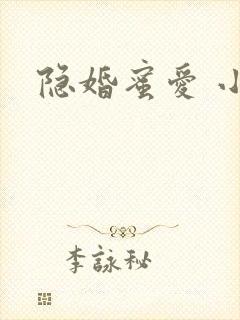隐婚蜜爱 小说