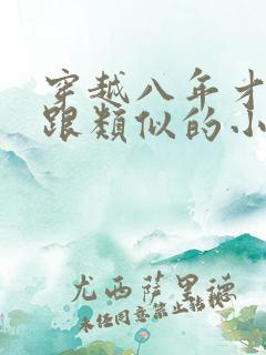 穿越八年才出道跟类似的小说