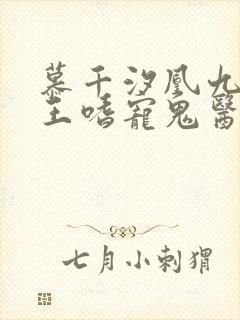 慕千汐凰九夜邪王嗜宠鬼医狂妃无弹窗 慕千汐凰九夜邪王嗜宠鬼医狂妃无弹窗