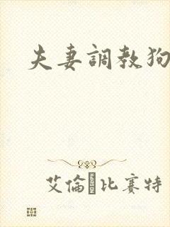 夫妻调教狗奴