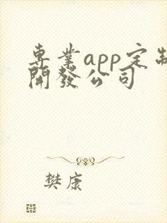 专业app定制开发公司