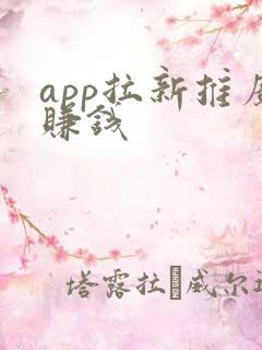 app拉新推广赚钱