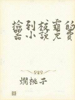捡到校霸的遥控器小说免费阅读