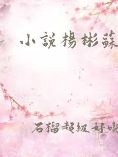 小说杨彬苏晴
