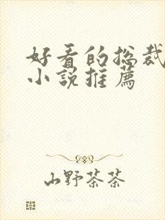 好看的总裁言情小说推荐