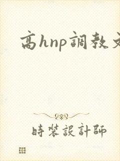 高hnp调教文