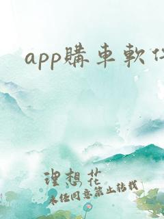 app购车软件