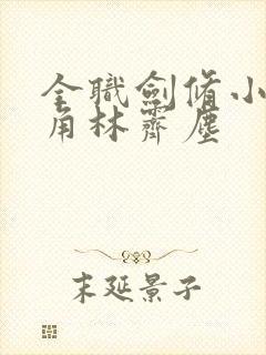 全职剑修小说主角林霁尘