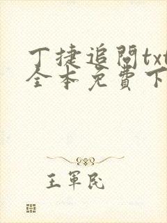 丁捷追问txt全本免费下载