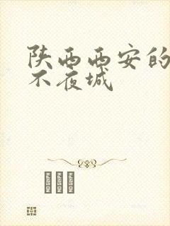 陕西西安的大唐不夜城