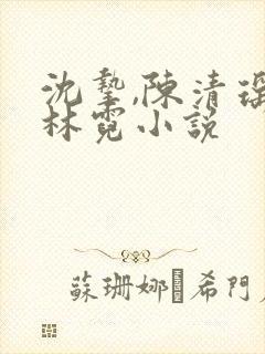 沈挚,陈清瑶,林霓小说