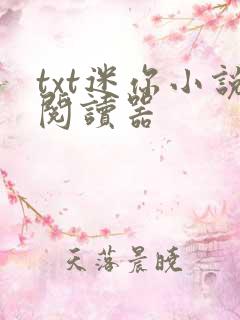 txt迷你小说阅读器